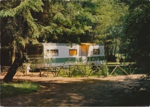 A27 Camping De Reehorst 9